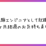 【未経験エンジニア3ヶ月目振り返り】仕事はどんな感じ？